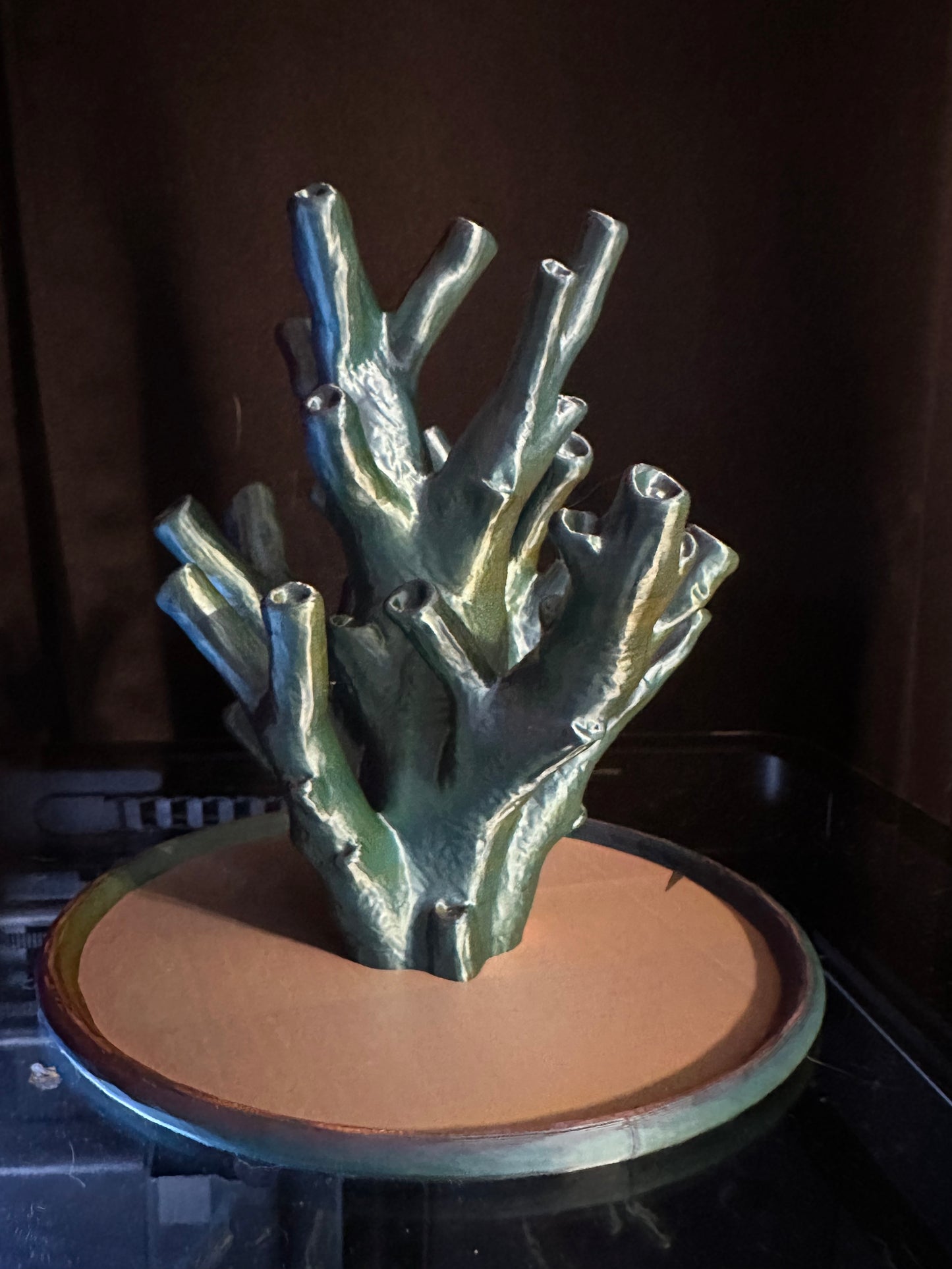 "Echinata Coral Reef" Jewelry Holder