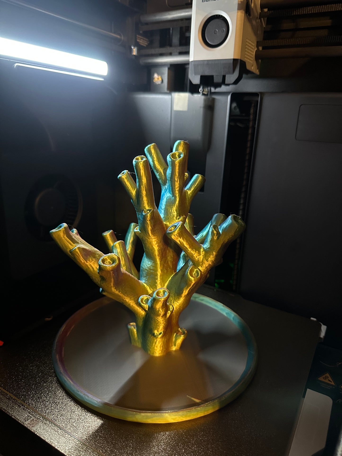 "Echinata Coral Reef" Jewelry Holder