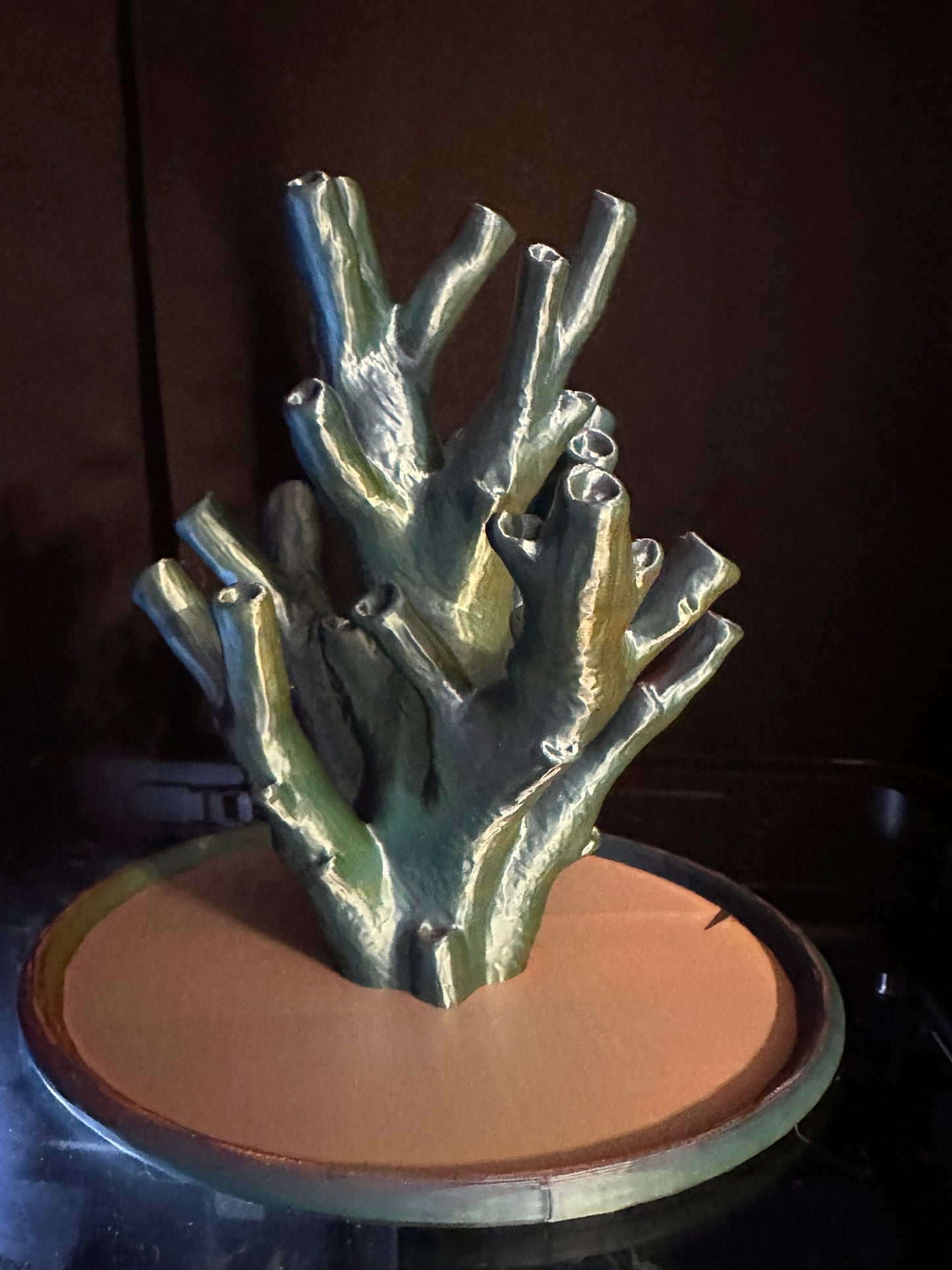 "Echinata Coral Reef" Jewelry Holder