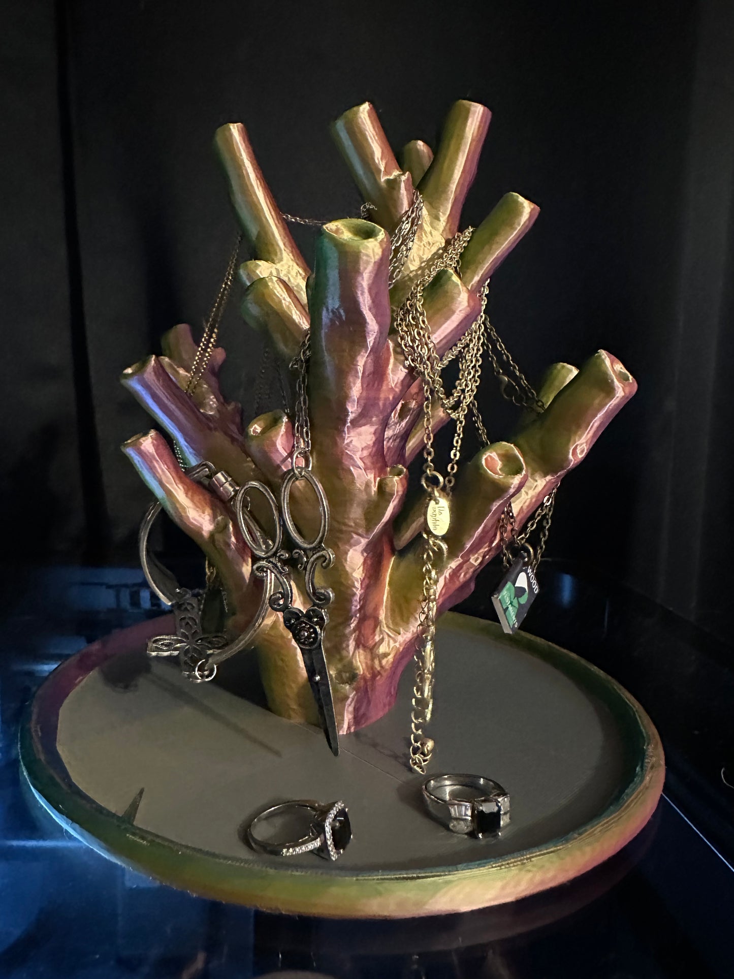 "Echinata Coral Reef" Jewelry Holder