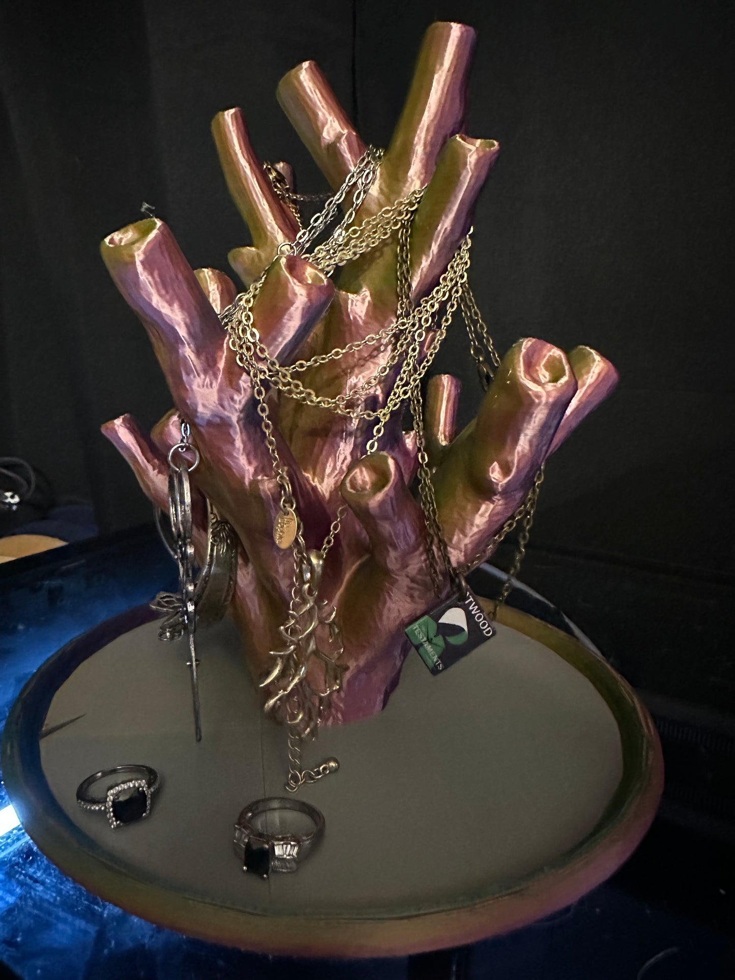 "Echinata Coral Reef" Jewelry Holder